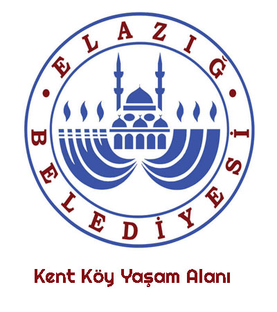 Kent Koy