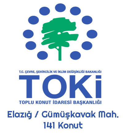 gumuskavak toki